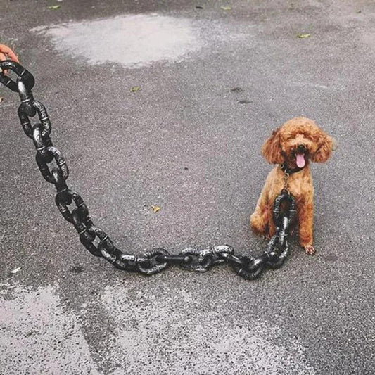 Coleira Corda de Tração para Cães e Gatos Corrente Ferro Falsa